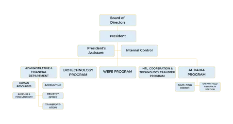structure
